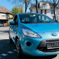 Amortizor capota ford ka 2013